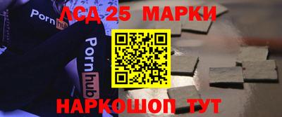 амф Гатчина