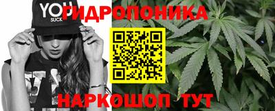 ПСИЛОЦИБИНОВЫЕ ГРИБЫ Гусиноозёрск