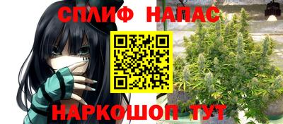 не бодяженный Гай
