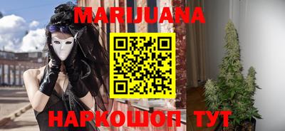 не бодяженный Гай