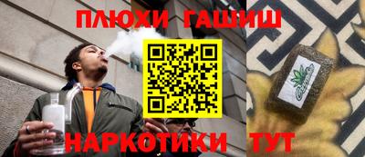 не бодяженный Гай