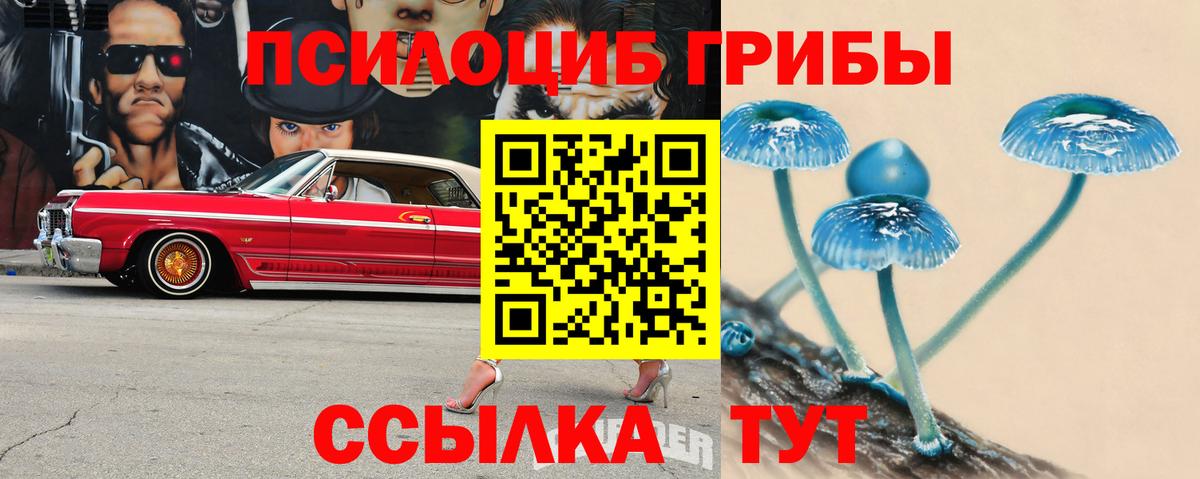 Камышлов  Псилоцибиновые грибы Magic Shrooms  Вход с VPN 