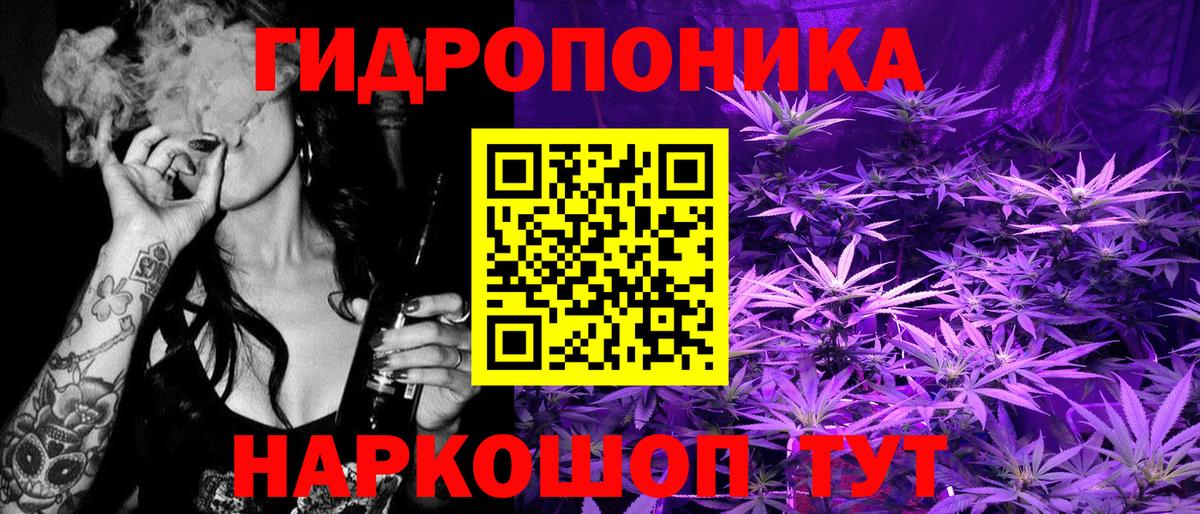 Каннабис планчик Камышлов